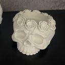 Пример работы по росписи черепа №7